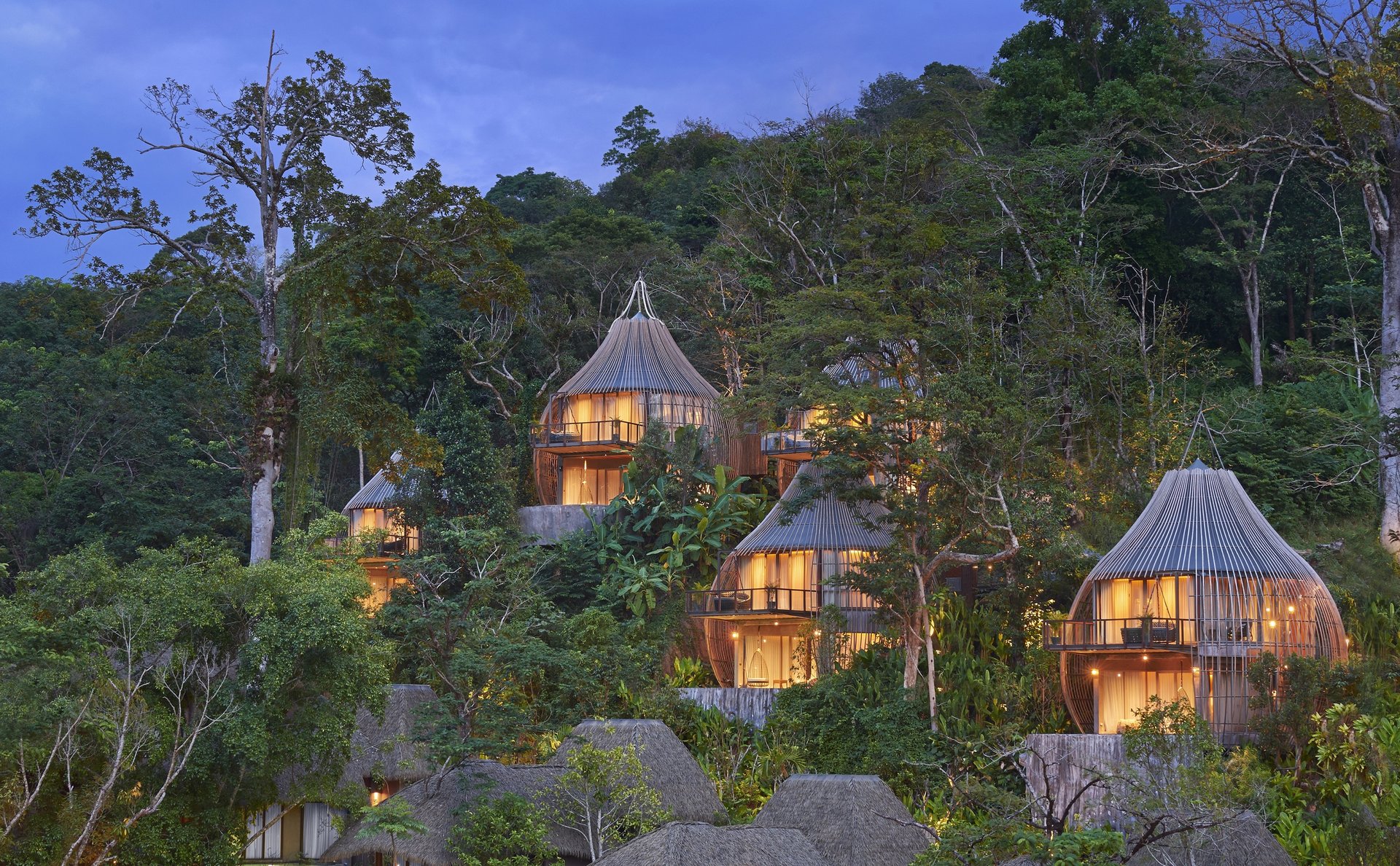 Tree Pool House